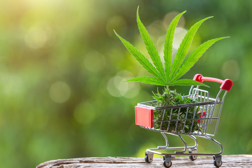 A small metal shopping cart filled with fresh hemp leaves and buds, illustrating a high-conversion WooCommerce CBD storefront.