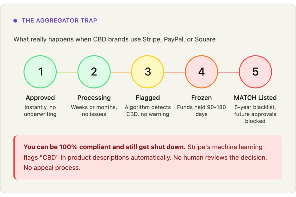 5-stage timeline showing how CBD merchants get shut down by Stripe and PayPal: approved instantly, processing, flagged by algorithm, account frozen with funds held 90-180 days, then MATCH listed for 5 years