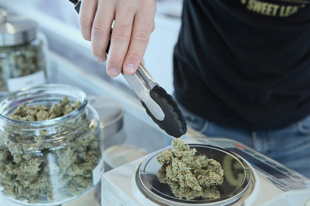 Weighing Cannabis on Scale